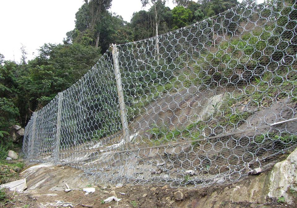 Ring net system is established on the slope and serves as debris flow barrier.