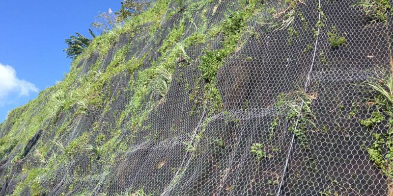 Plants grow from the slope covered by hexagonal netting system.