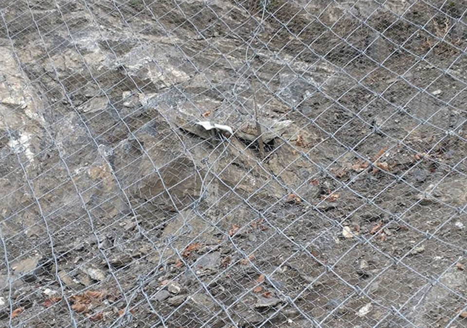 La pendiente a lo largo de la autopista está completamente cubierta por la red de pendiente rockcon reforzada.