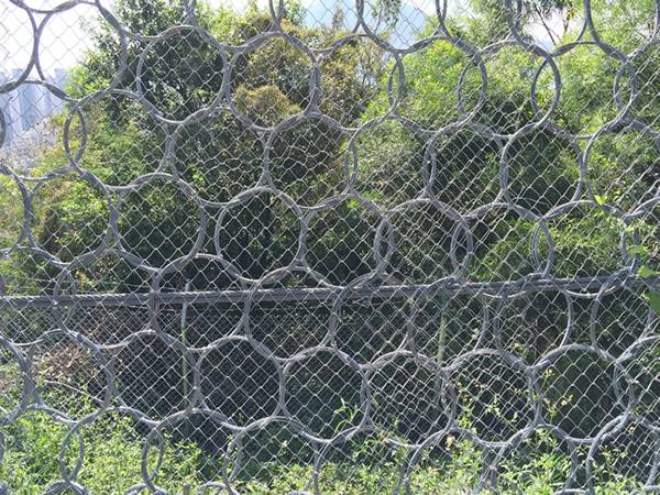 Ring net connection and details