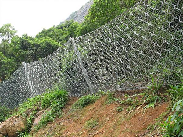 Ring net system is installed in a valley.