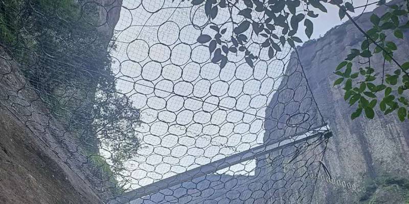 Vehicles are driving along the expressway protected by ring net system.