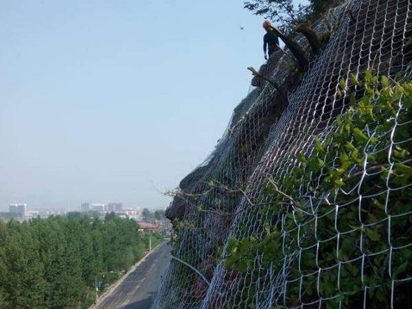 Trees are covered and protected by Rockcon® mesh.