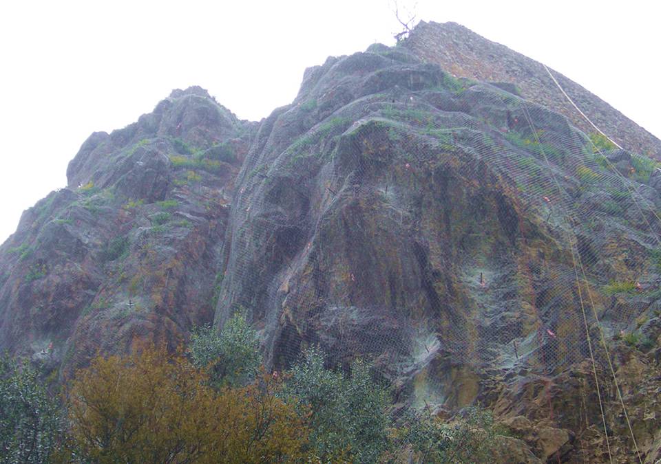 Mountain rocks and trees are fully covered by the Rockcon® rockfall barrier.